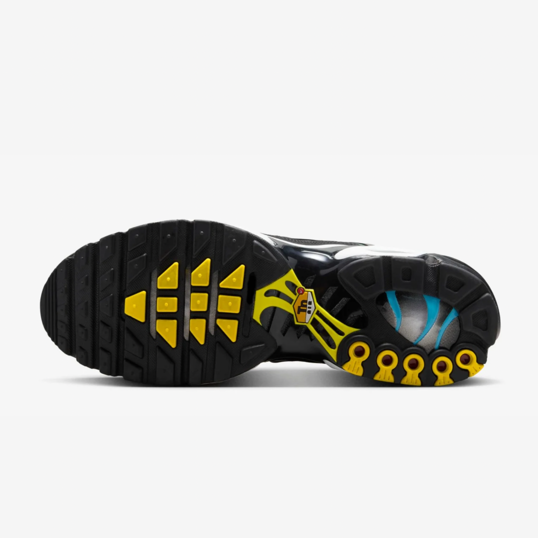 Nike Air Max Plus Tn Tropical Gradient