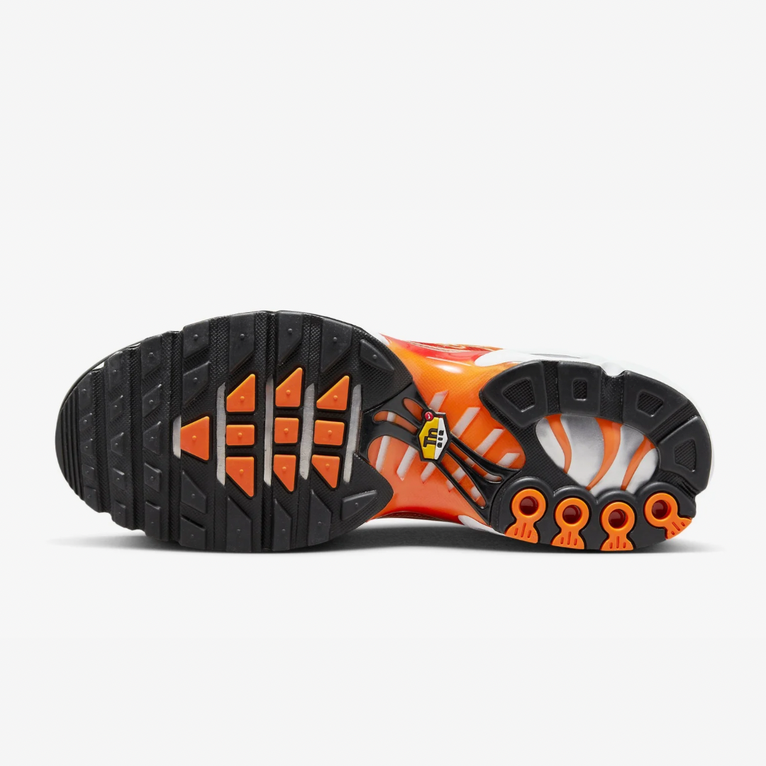 Nike Air Max Plus Tn Light Photography