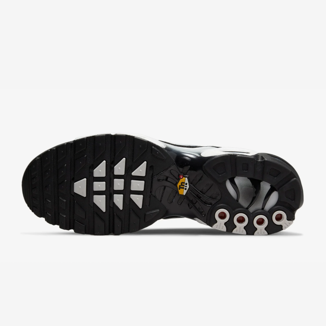 Nike Air Max Plus Tn Smokes