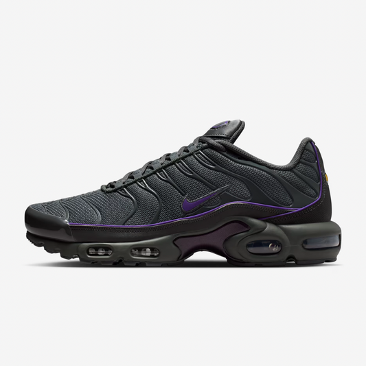 Nike Air Max Plus Tn 3m Purple Border
