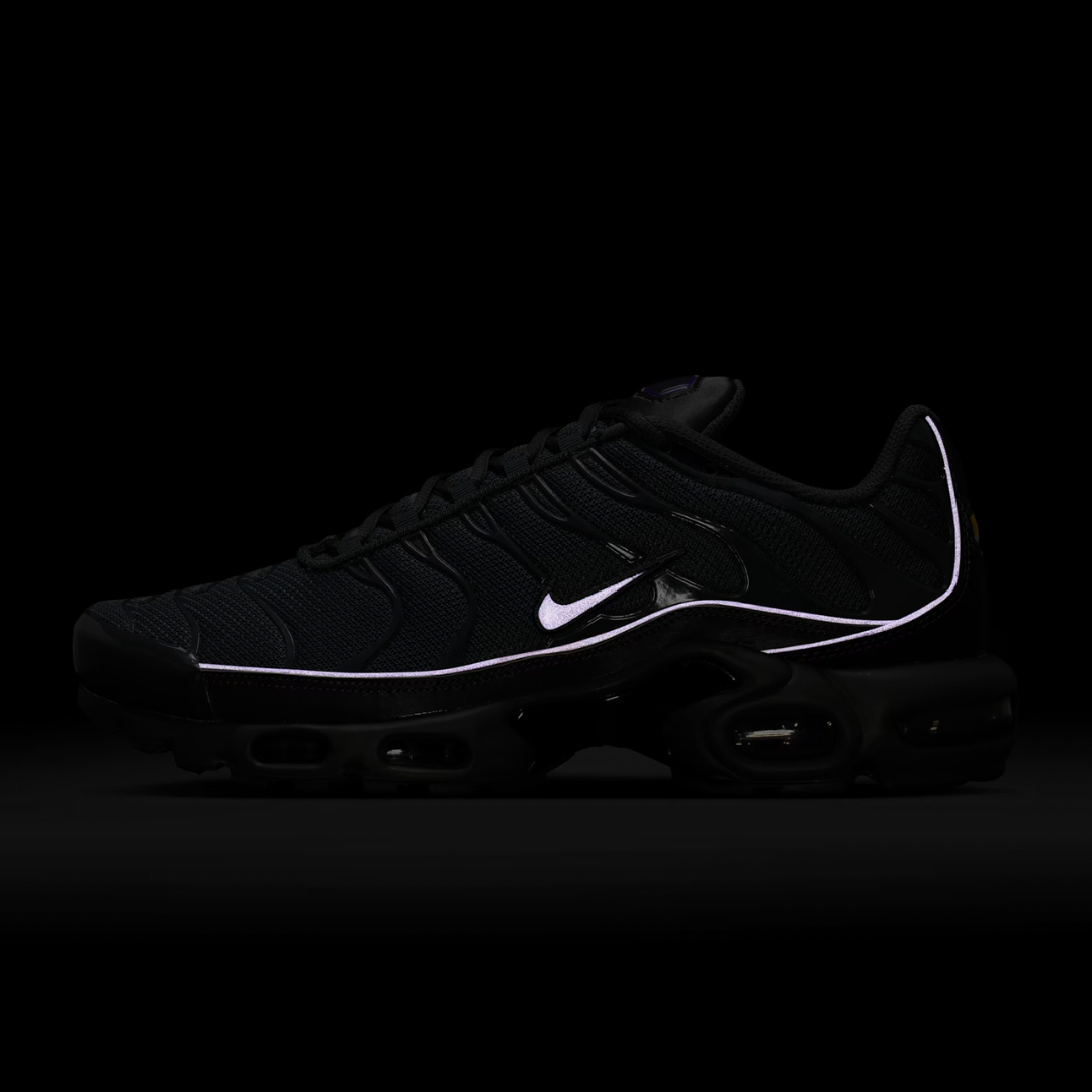 Nike Air Max Plus Tn 3m Purple Border