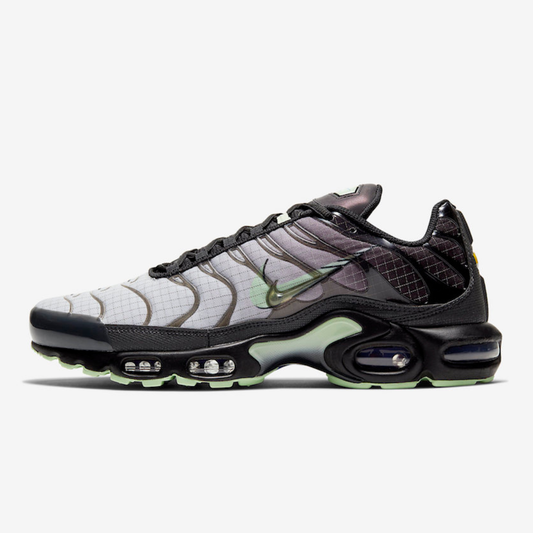 Nike Air Max Plus Tn Future Swoosh