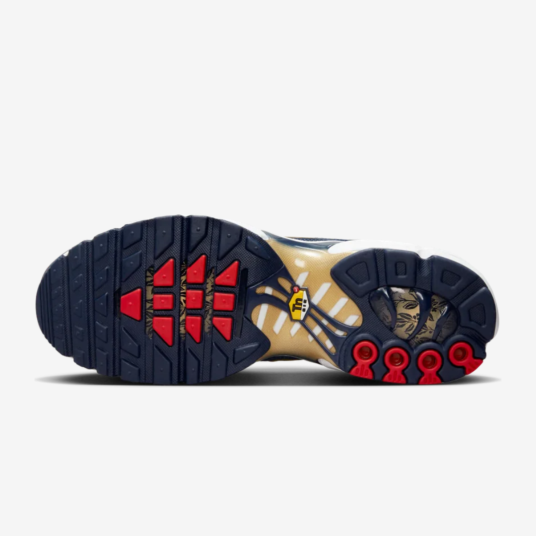 Nike Air Max Plus Tn FFF