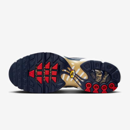 Nike Air Max Plus Tn FFF