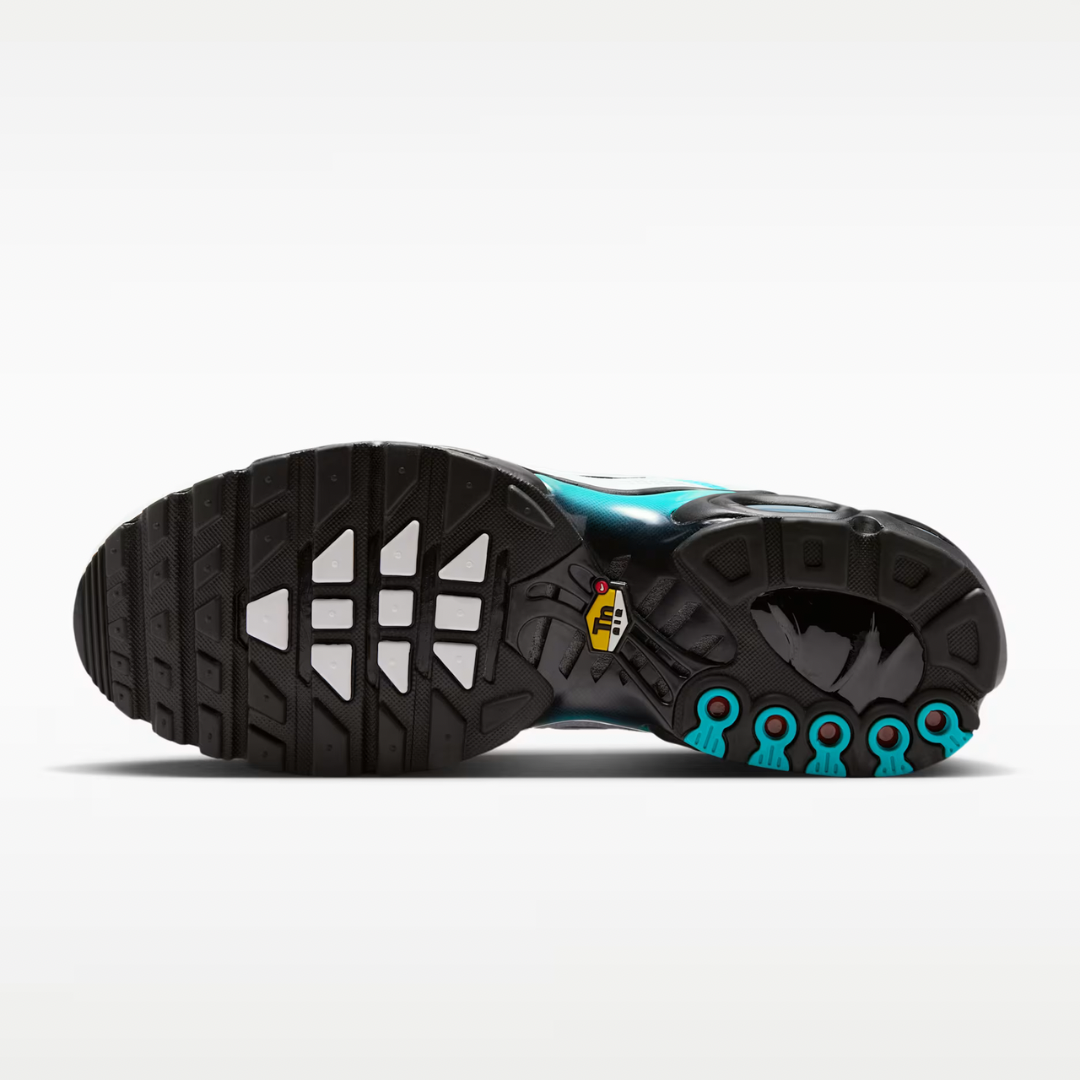 Nike Air Max Plus Tn Frostbite
